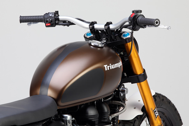 Tridays Triumph Scrambler: the Rumbler